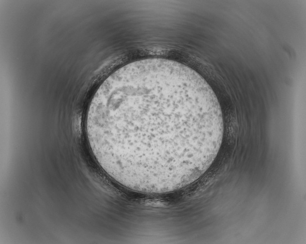 X0000114430262200911131338