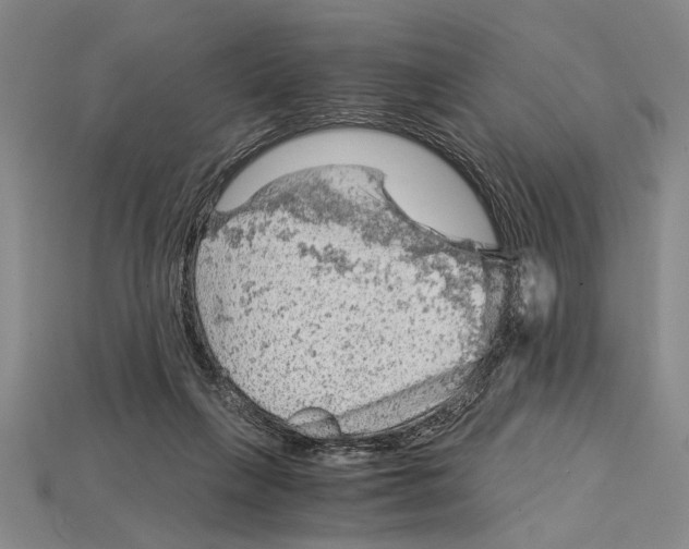 X0000114430263200911131338