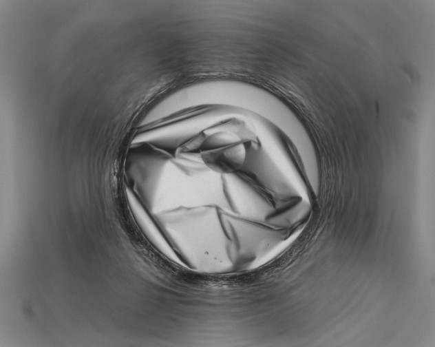 X0000114430264200911131338