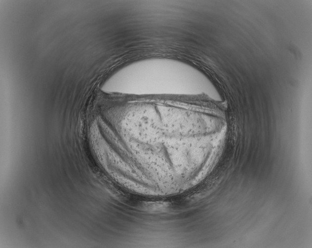 X0000114430266200911131338