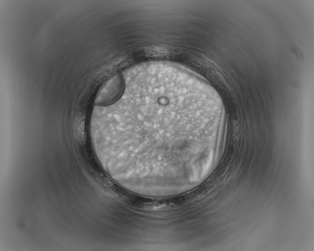 X0000114430267200911131338