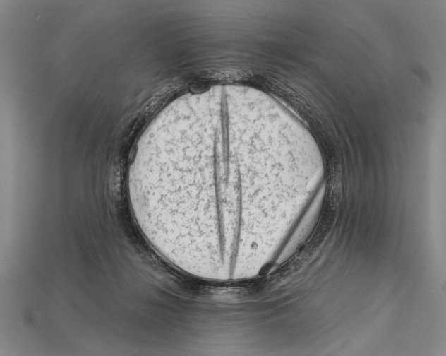 X0000114430268200911131338