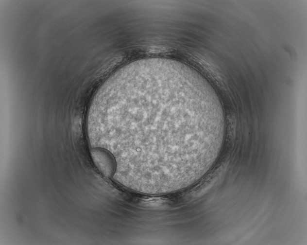 X0000114430269200911131338