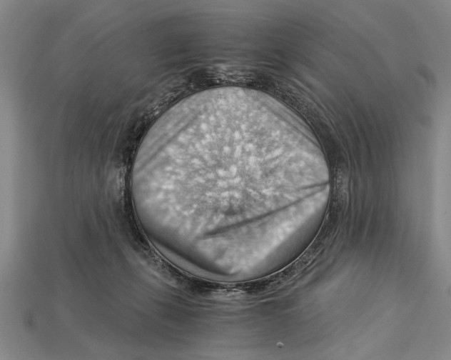 X0000114430271200911131338