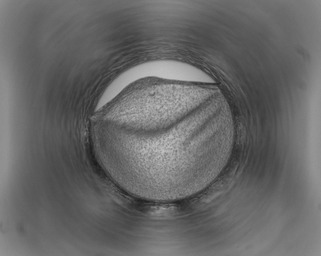 X0000114430274200911131338