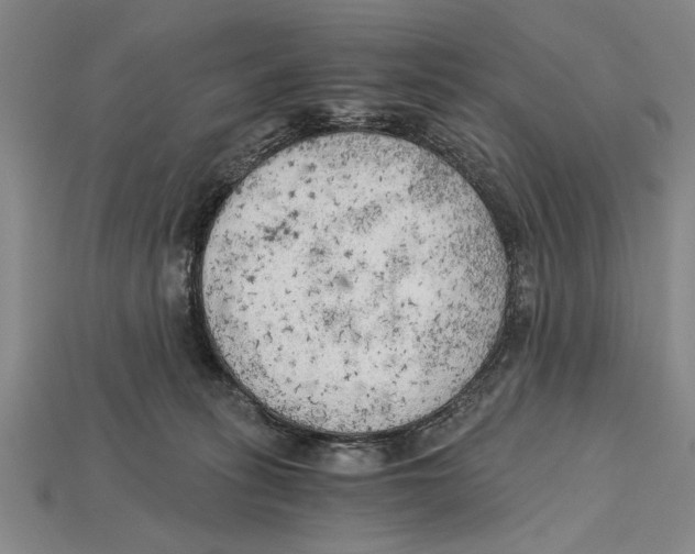 X0000114430275200911131338