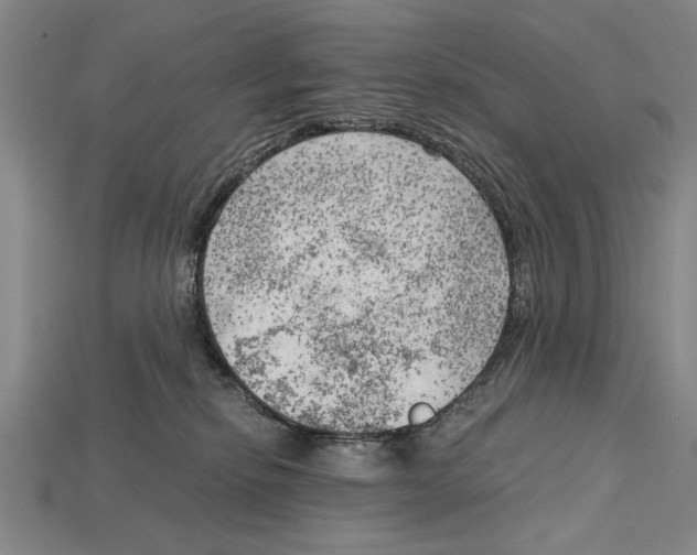 X0000114430278200911131338