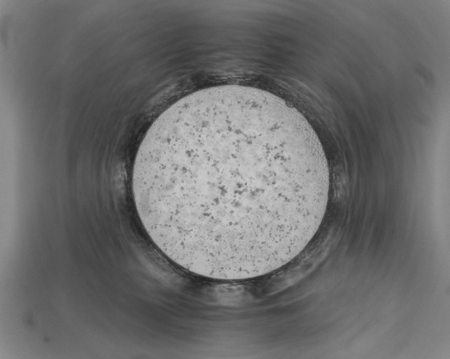 X0000114430279200911131338