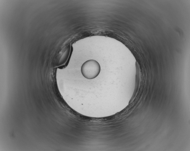 X0000114430280200911131338