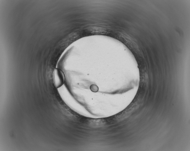 X0000114430281200911131338