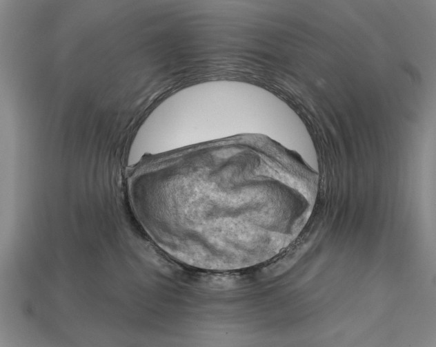 X0000114430282200911131338