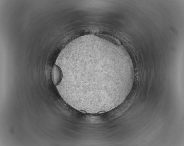 X0000114430283200911131338