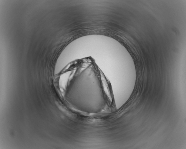 X0000114430284200911131338