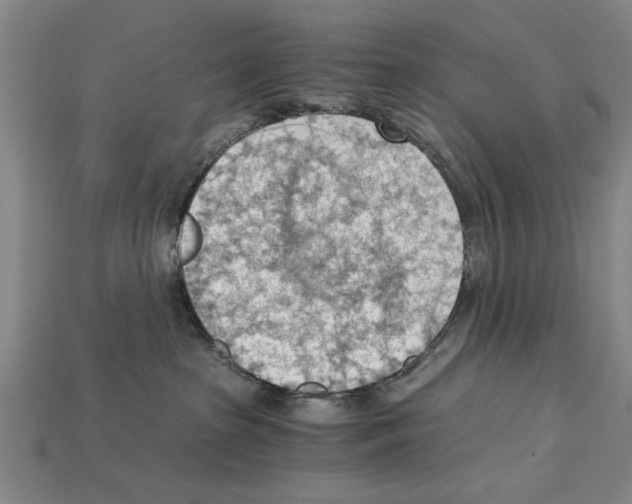 X0000114430285200911131338