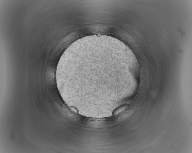 X0000114430288200911131338