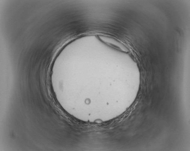 X0000114430289200911131337