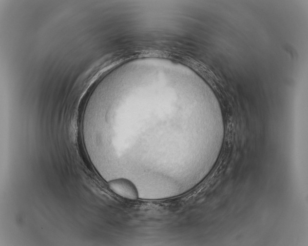 X0000114430290200911131337