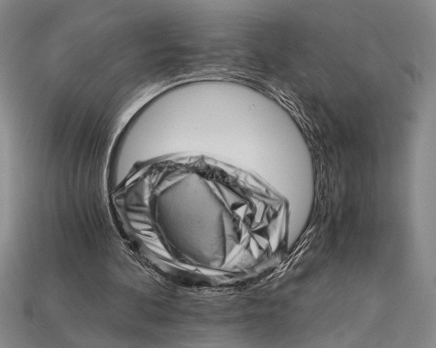 X0000114430292200911131337