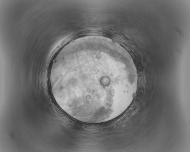 X0000114430293200911131337