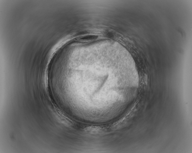 X0000114430294200911131337