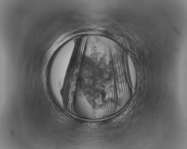 X0000114430295200911131337