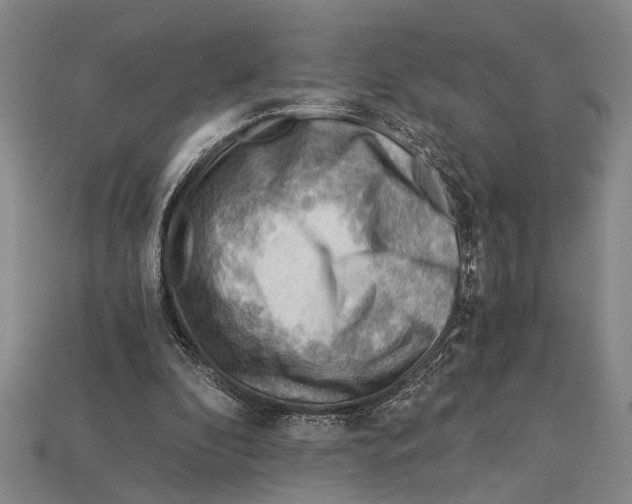 X0000114430296200911131337