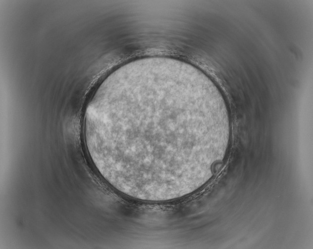 X0000114430297200911131337