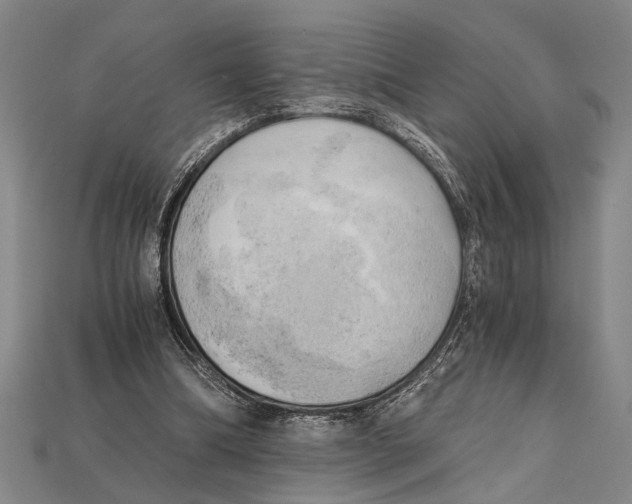 X0000114430298200911131337