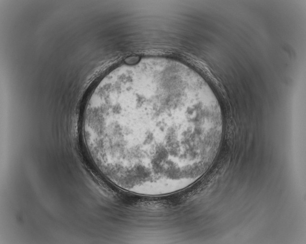 X0000114430299200911131337