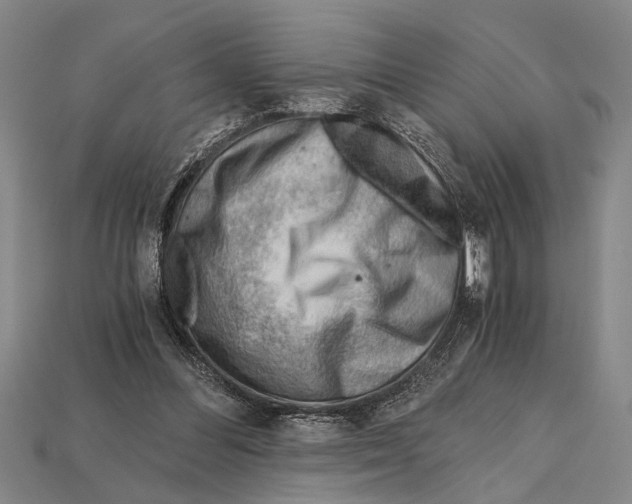 X0000114430300200911131337