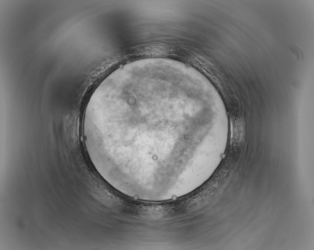 X0000114430301200911131337