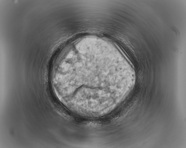 X0000114430303200911131337