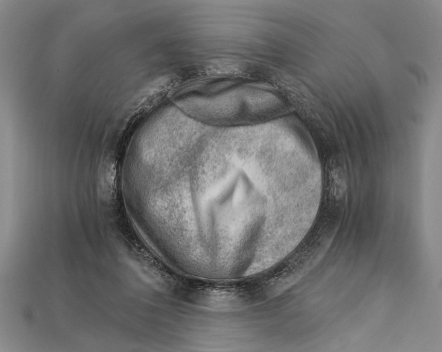 X0000114430308200911131337