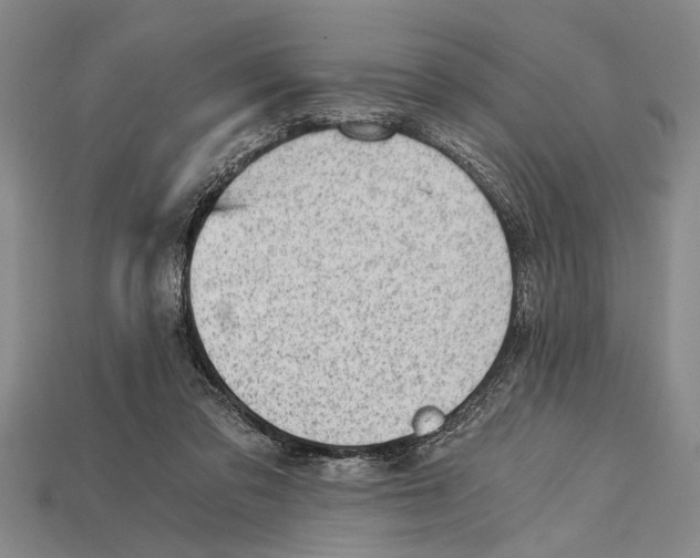 X0000114430309200911131337