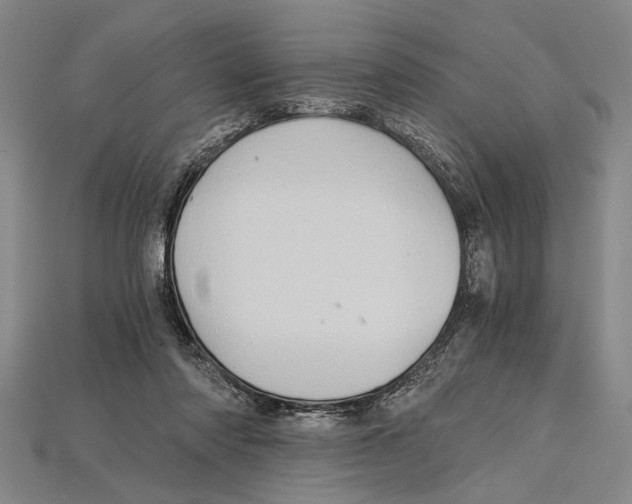 X0000114430310200911131337