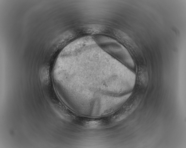 X0000114430312200911131337