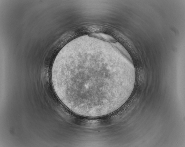 X0000114430313200911131337