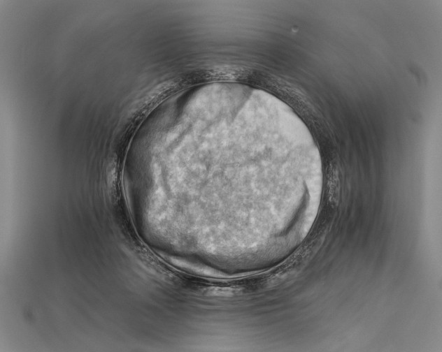 X0000114430314200911131337