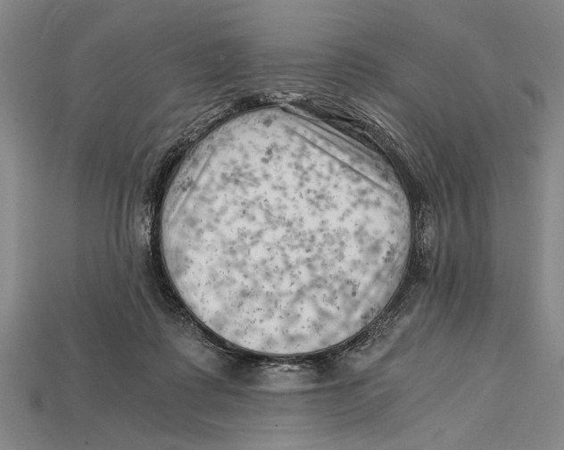 X0000114430315200911131337