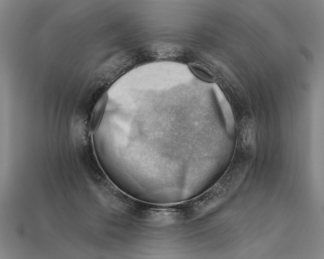 X0000114430316200911131337