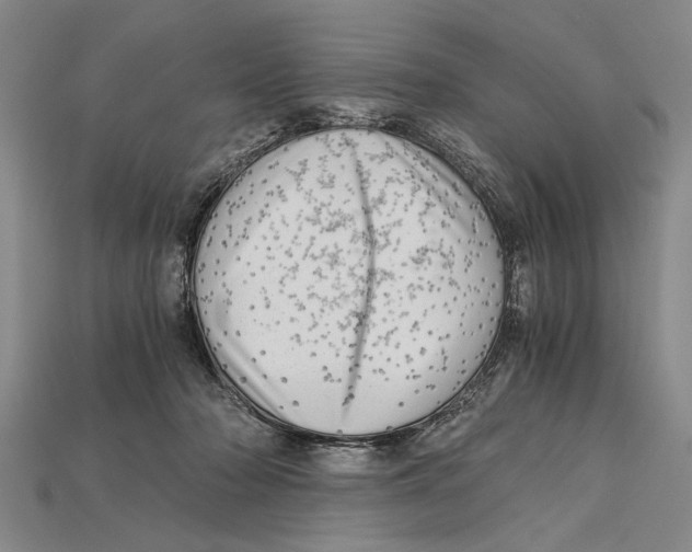 X0000114430318200911131337