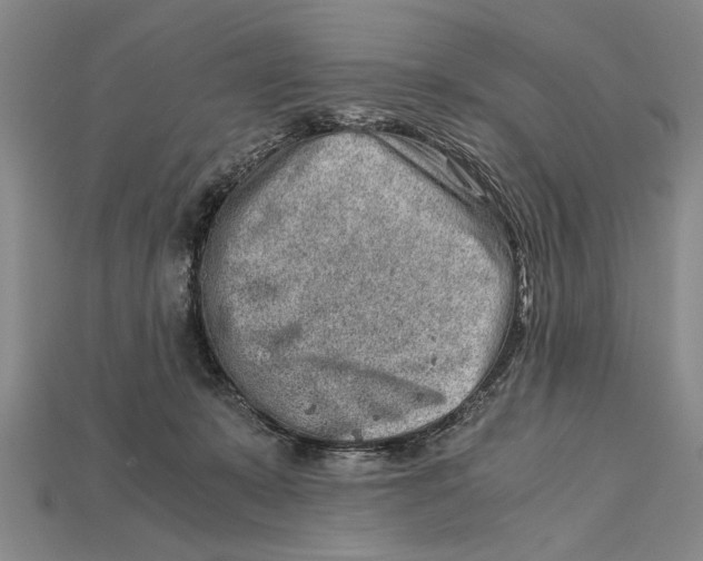 X0000114430319200911131337