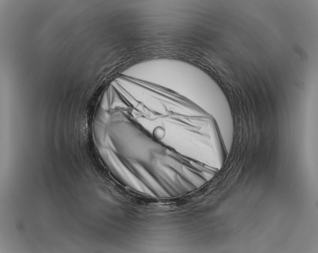 X0000114430320200911131337