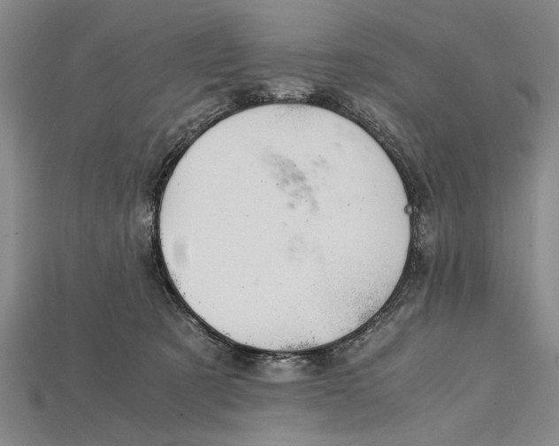 X0000114430321200911131337