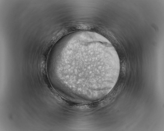 X0000114430322200911131337