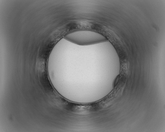 X0000114430323200911131337