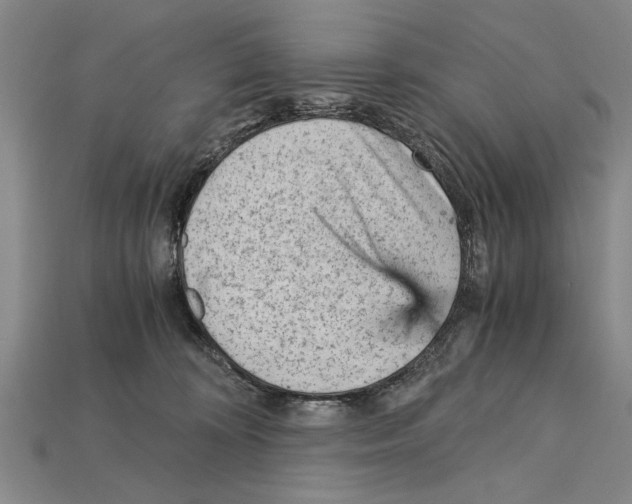 X0000114430324200911131337