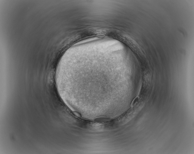 X0000114430325200911131337