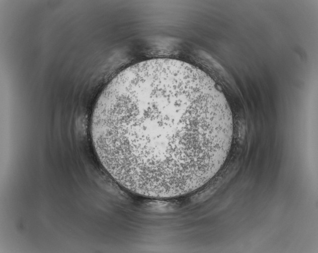 X0000114430326200911131337