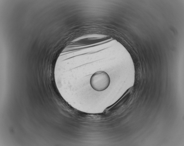 X0000114430328200911131337